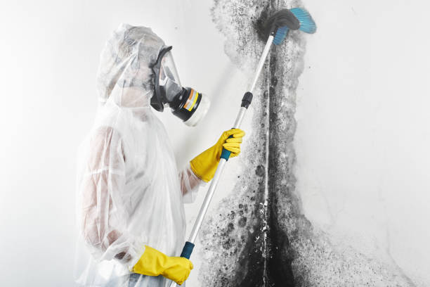 Mold Remediation for Rental Properties in Brownfield, TX