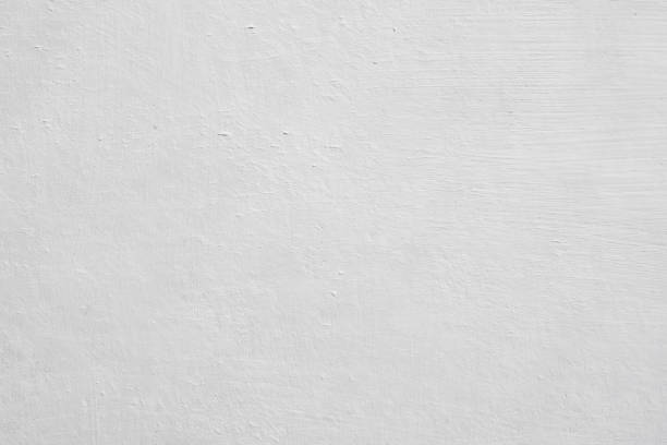 Best Basement Mold Removal  in Brownfield, TX
